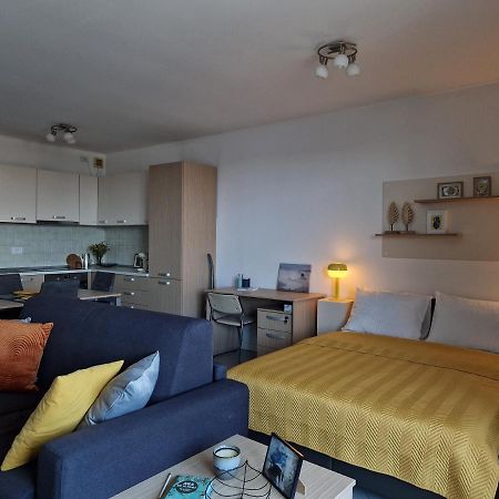Central Skystudio Apartment Тимишоара Екстериор снимка