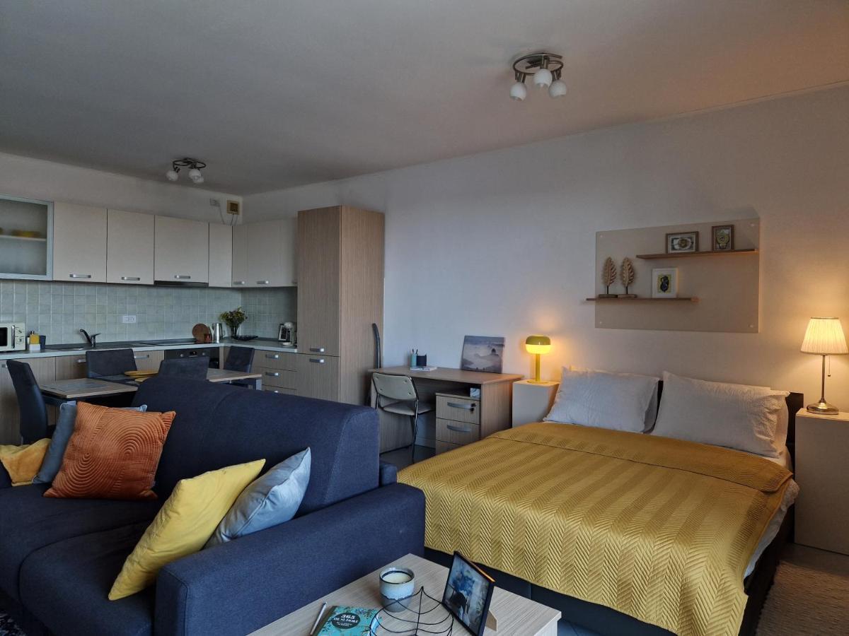 Central Skystudio Apartment Тимишоара Екстериор снимка