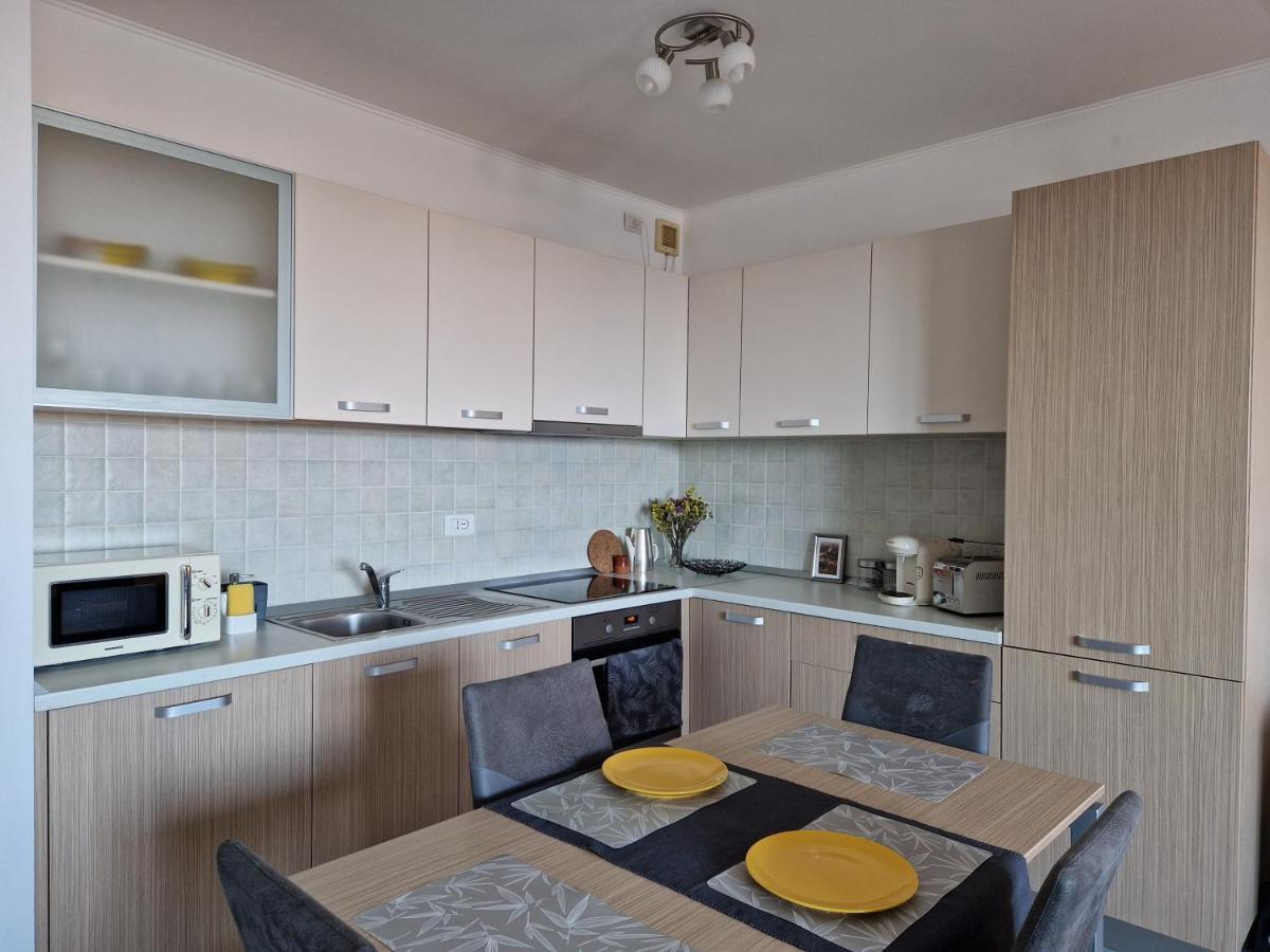 Central Skystudio Apartment Тимишоара Екстериор снимка