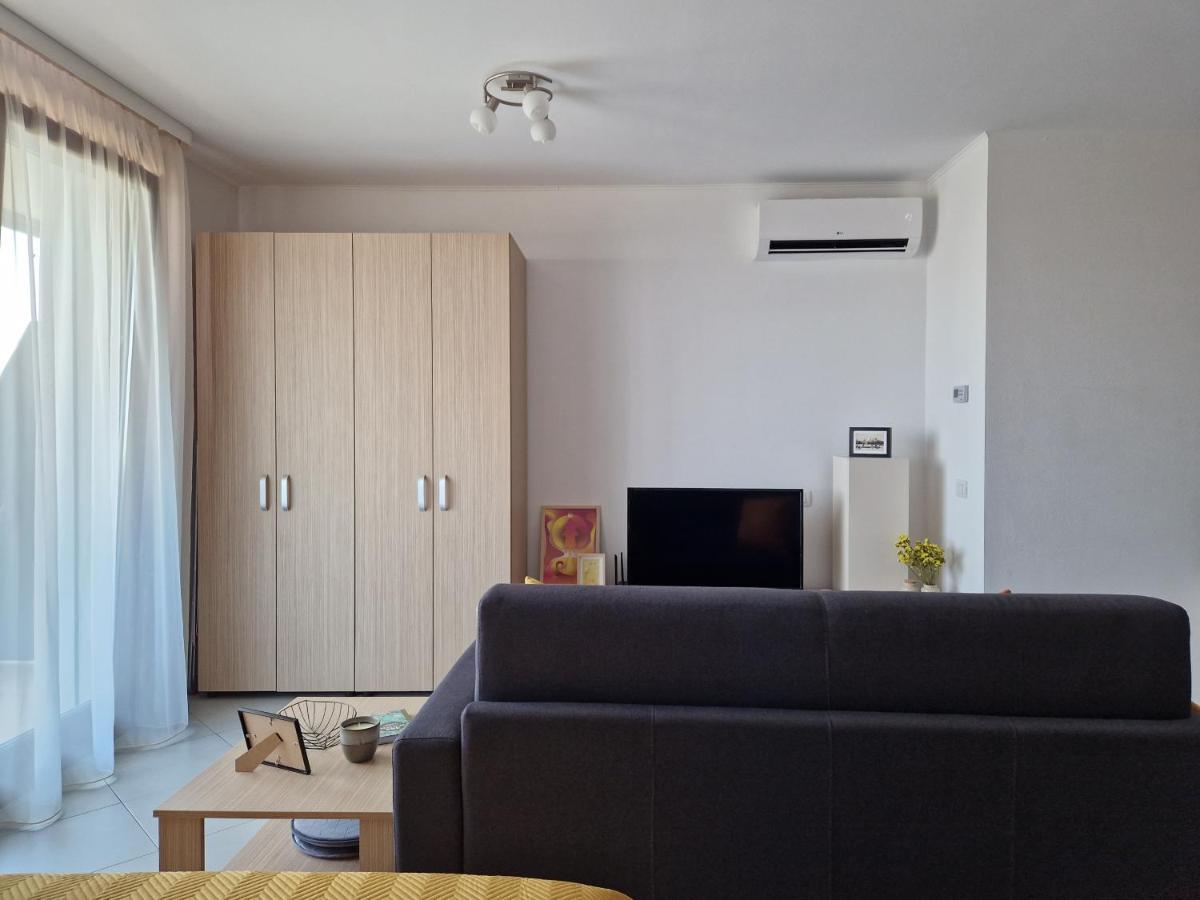 Central Skystudio Apartment Тимишоара Екстериор снимка