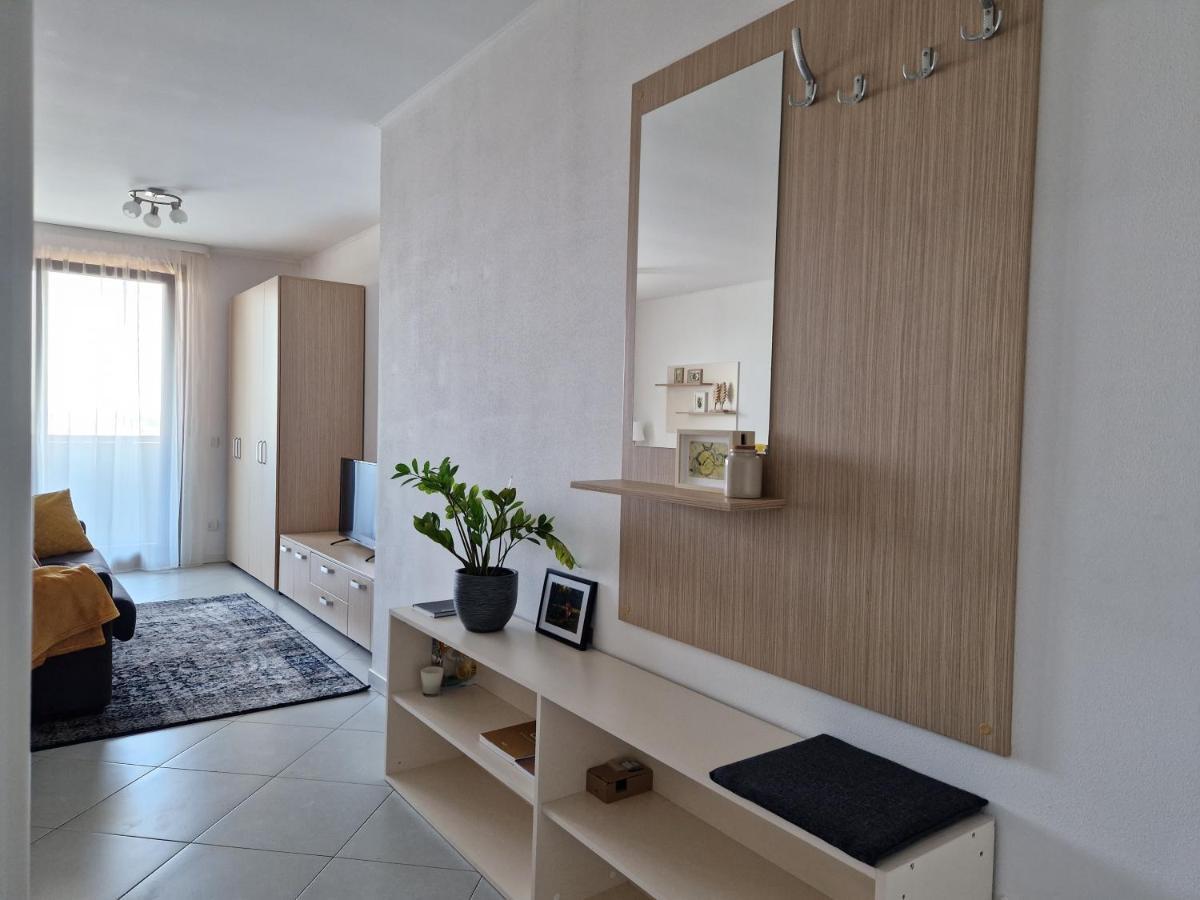 Central Skystudio Apartment Тимишоара Екстериор снимка