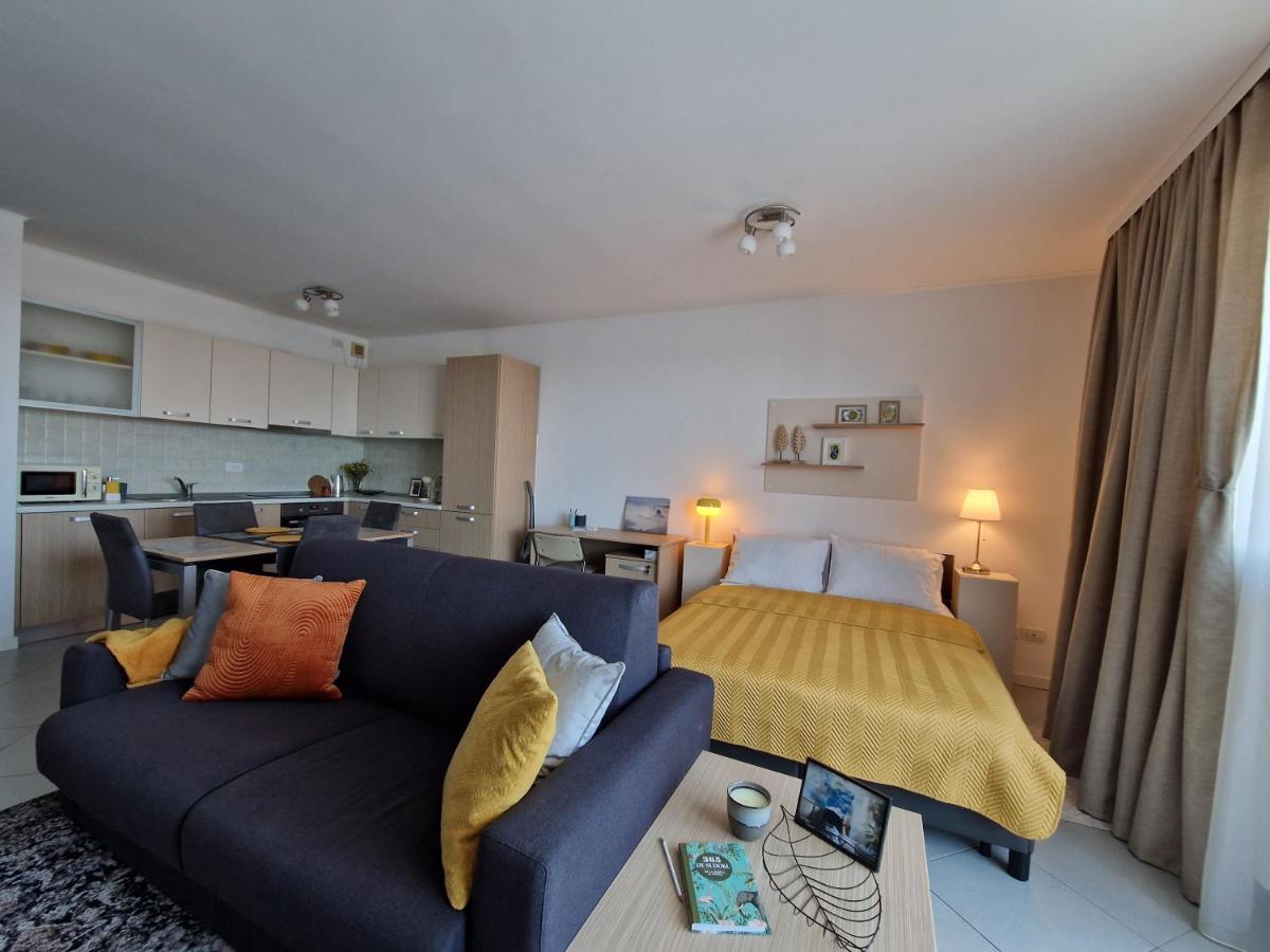 Central Skystudio Apartment Тимишоара Екстериор снимка