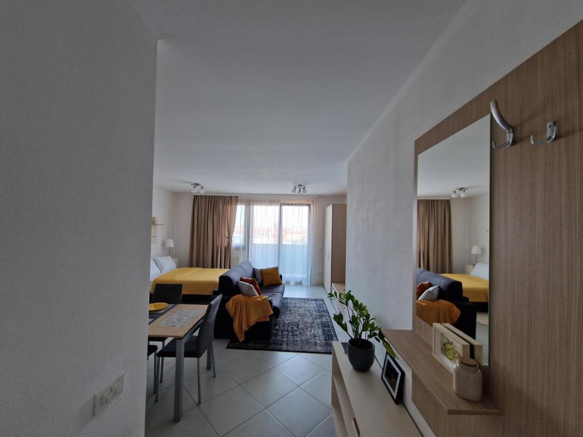 Central Skystudio Apartment Тимишоара Екстериор снимка