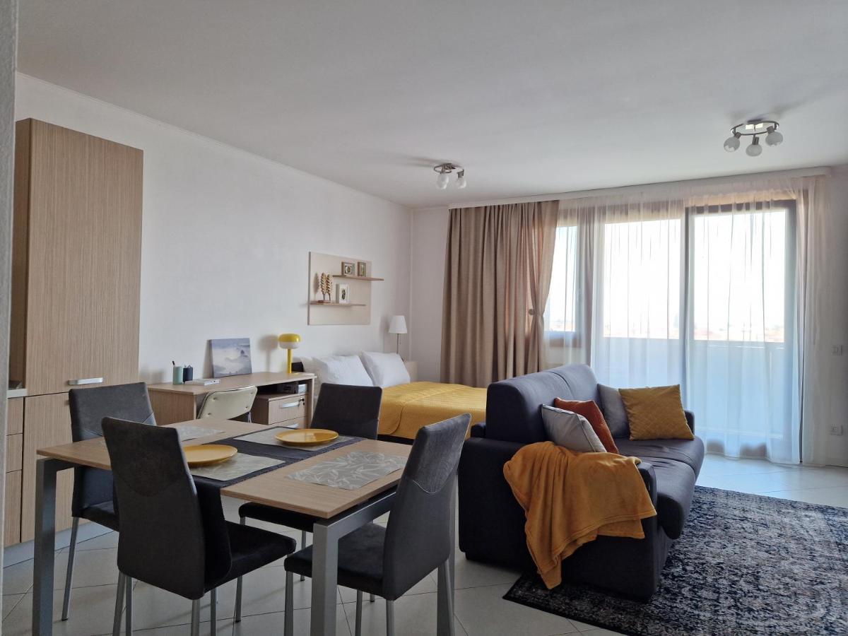 Central Skystudio Apartment Тимишоара Екстериор снимка